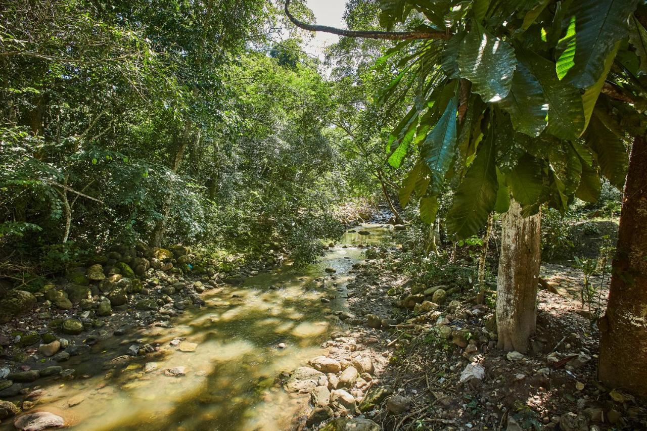 Villa Lu Amazon Ecolodge Tarapoto Eksteriør bilde