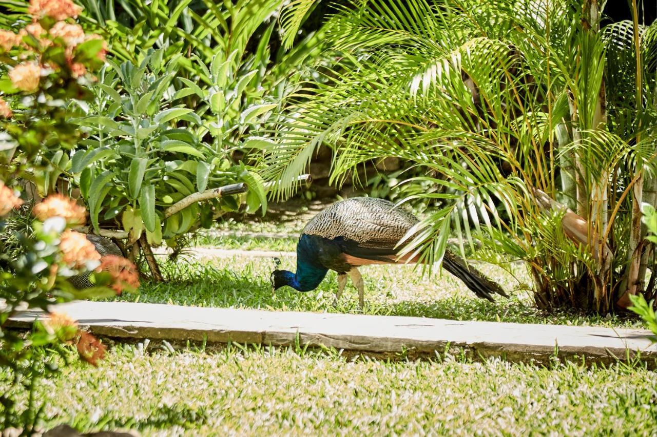 Villa Lu Amazon Ecolodge Tarapoto Eksteriør bilde