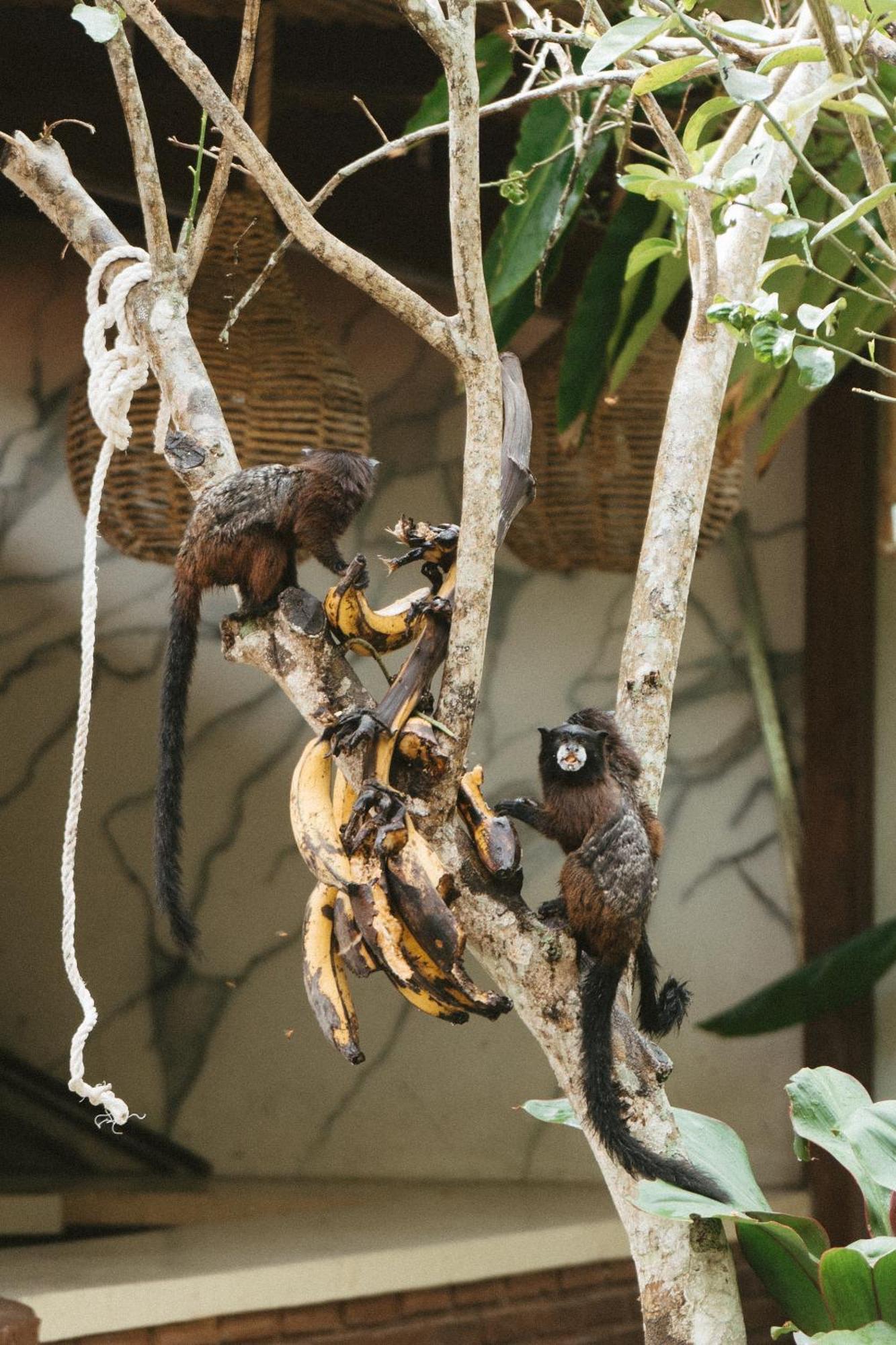 Villa Lu Amazon Ecolodge Tarapoto Eksteriør bilde