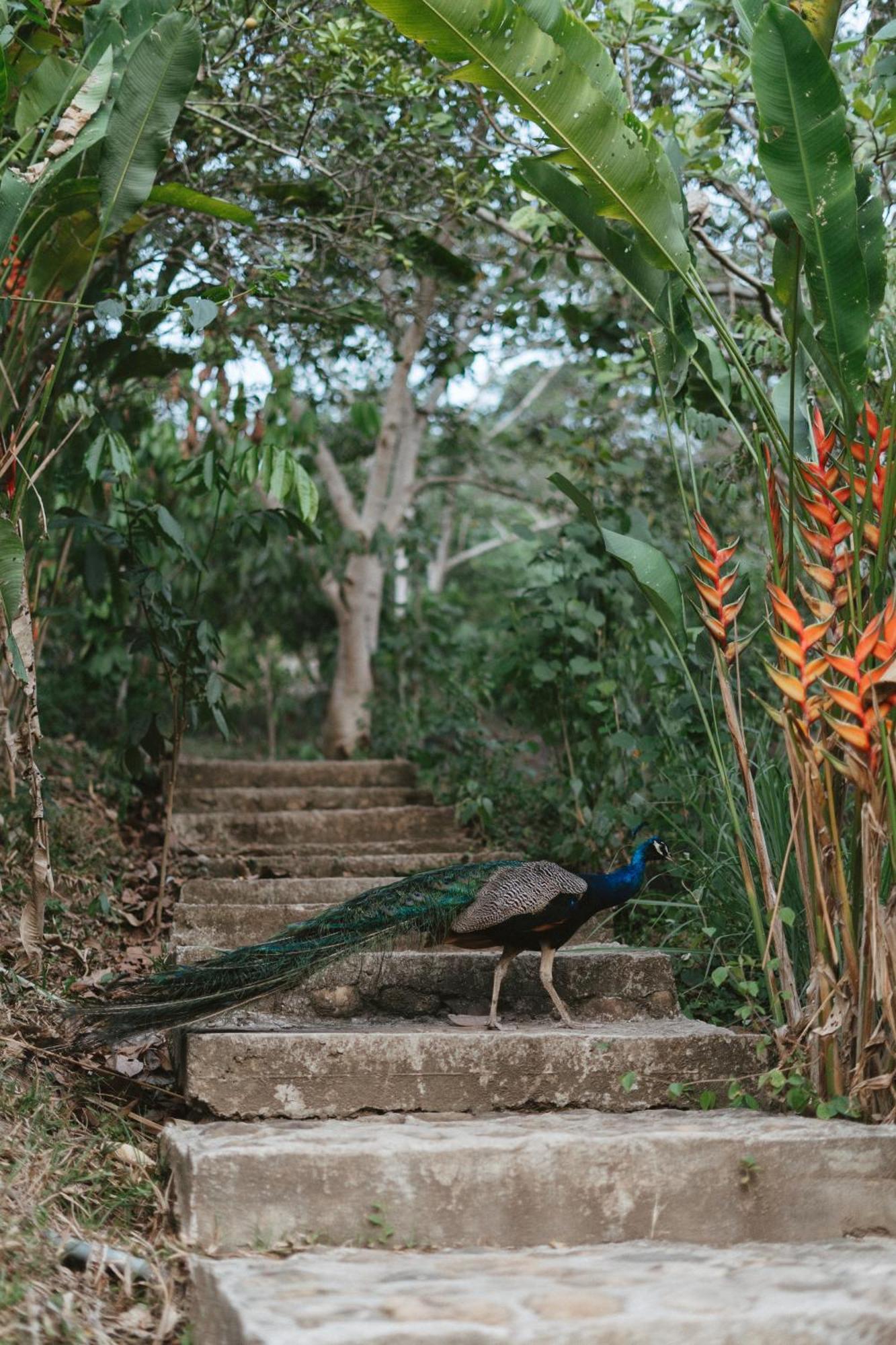 Villa Lu Amazon Ecolodge Tarapoto Eksteriør bilde